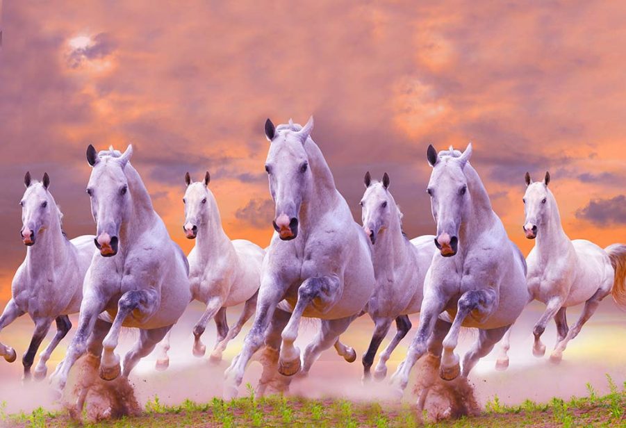 सात घोड़ों की तस्वीर